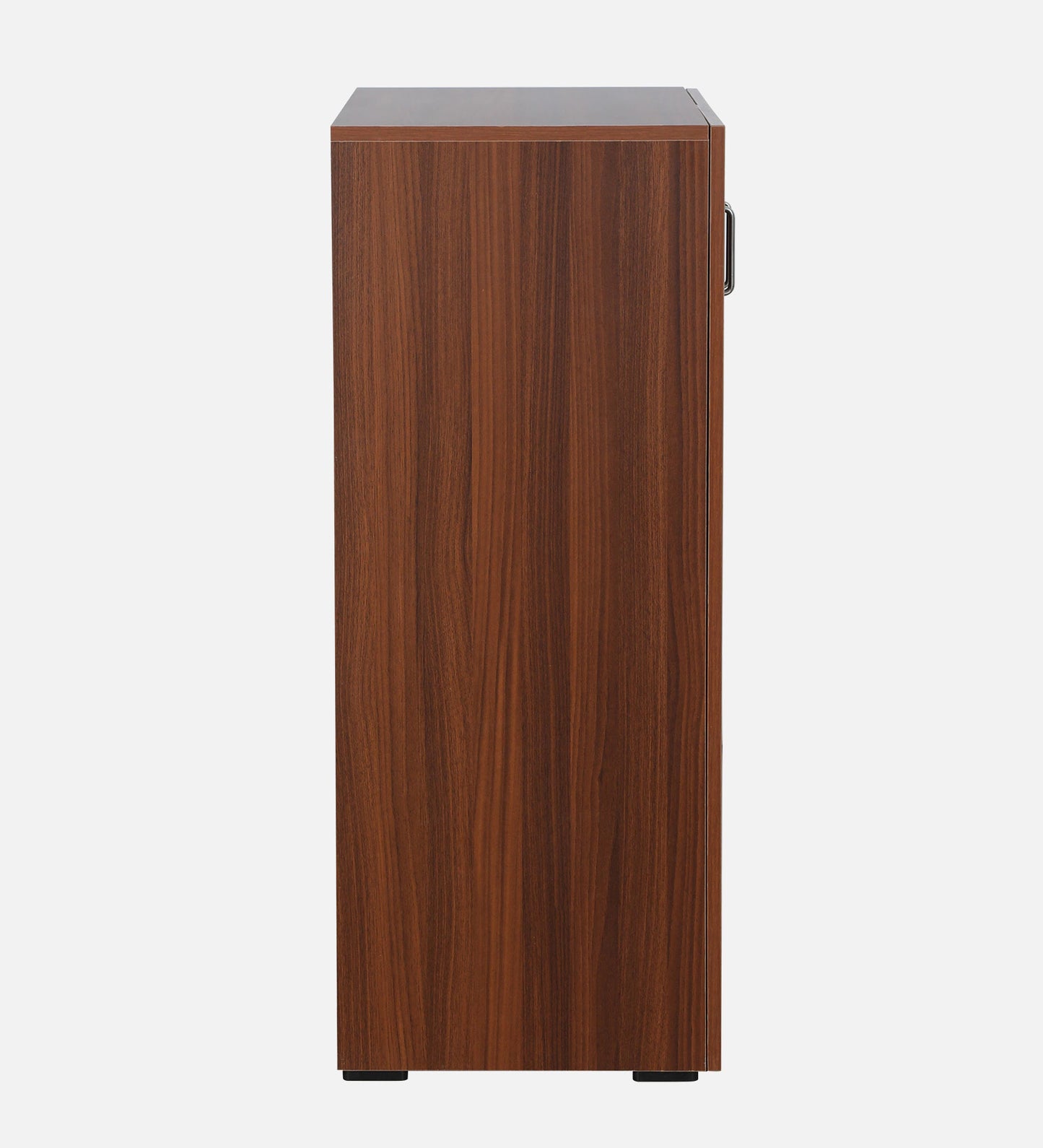 Walnut Elegance Shoe Cabinet