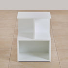 Omkarwood Nova Z-Shelf End Table