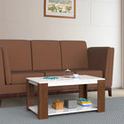 Modern Two-Tone Coffee Table with Storage Shelf