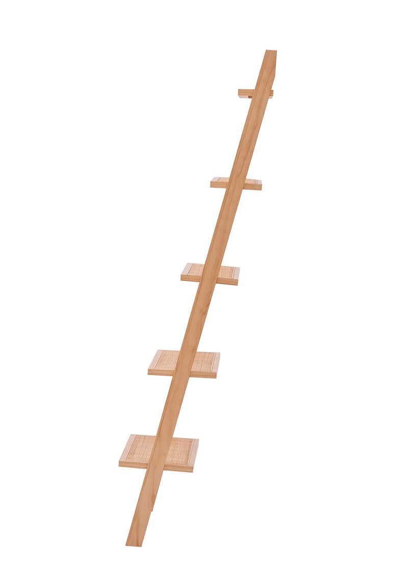 5-Tier Ladder Wall Shelf in Solid Wood and Rattan