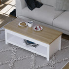 Omkarwood Beacsfield 2-Tier Coffee Table – White Base with Natural Oak Finish Top