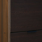 OmkarWood™ Elegant 3-Door Engineered Wood Shoe Cabinet