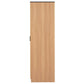OmkarWood Elegance Series Wardrobe