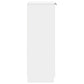 OmkarWood Premium Shoe Rack – 2-Door Cabinet for 12 Pairs (Engineered Wood, White Finish)