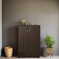 Arden Luxe Shoe Cabinet