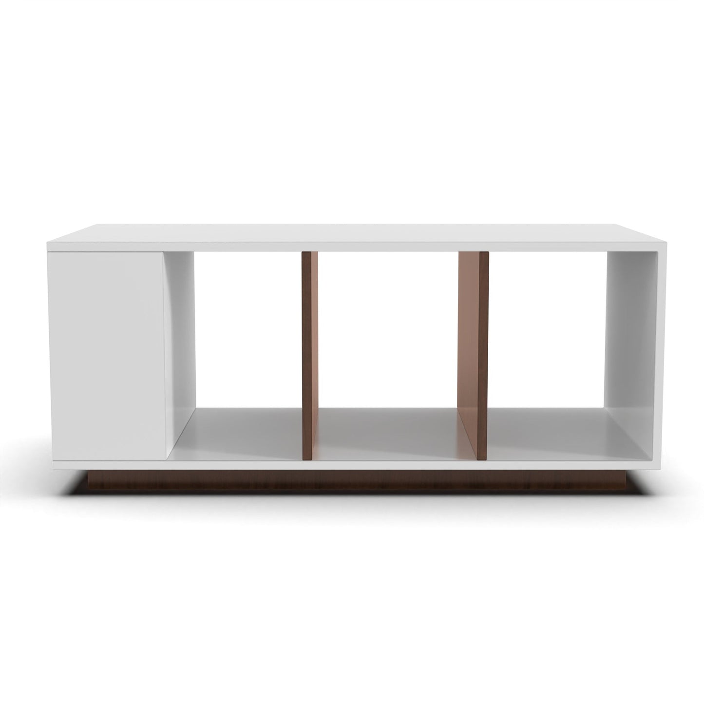 Modern Dual-Tone Storage Coffee Table