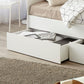 Nova Multifunctional Sofa Cum Bed with Storage