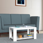 Modern Two-Tone Coffee Table with Storage Shelf