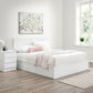 AstraLift™ Modern Hydraulic Storage Bed