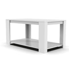 Modern Two-Tone Coffee Table with Storage Shelf