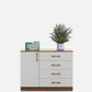 OmkarWood Elora Chest of Drawers