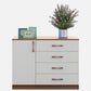 OmkarWood Elora Chest of Drawers