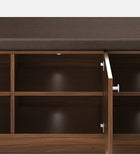 UrbanEdge Premium Shoe Cabinet"