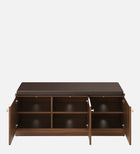 UrbanEdge Premium Shoe Cabinet"