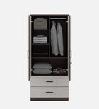 Omkarwood Rillo Premium 2-Door Engineered Wood Wardrobe with Drawer Storage