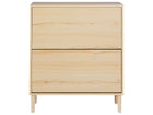 OmkarWood Solace Premium Engineered Wood Shoe Cabinet